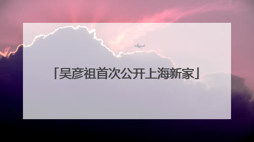 吴彦祖首次公开上海新家