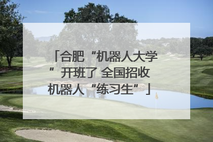 合肥“机器人大学”开班了 全国招收机器人“练习生”