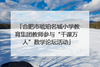 合肥市琥珀名城小学教育集团教师参与“千课万人”数学论坛活动