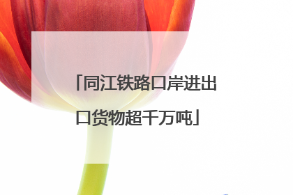 同江铁路口岸进出口货物超千万吨