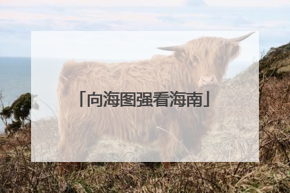 向海图强看海南