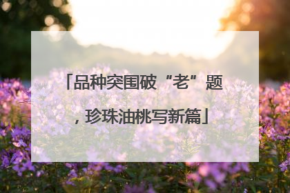 品种突围破“老”题，珍珠油桃写新篇