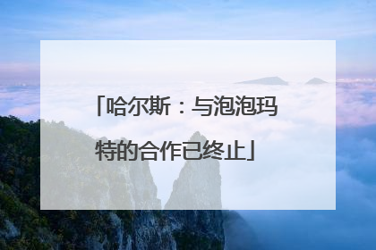 哈尔斯：与泡泡玛特的合作已终止