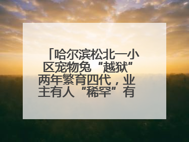 哈尔滨松北一小区宠物兔“越狱”两年繁育四代，业主有人“稀罕”有人忧，专家提醒