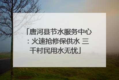 唐河县节水服务中心：火速抢修保供水 三千村民用水无忧