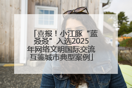 喜报！小江豚“蓝叒叒”入选2025年网络文明国际交流互鉴城市典型案例
