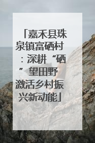嘉禾县珠泉镇富硒村：深耕“硒”望田野 激活乡村振兴新动能