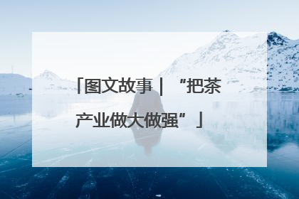 图文故事｜“把茶产业做大做强”
