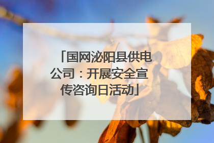 国网泌阳县供电公司：开展安全宣传咨询日活动