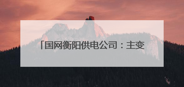 国网衡阳供电公司：主变增容 为度夏供电添保障