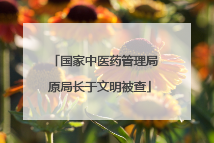 国家中医药管理局原局长于文明被查