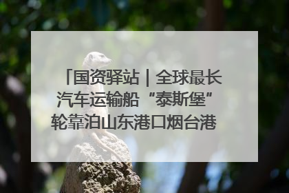 国资驿站｜全球最长汽车运输船“泰斯堡”轮靠泊山东港口烟台港；渤海最大油气平台完成浮托安装