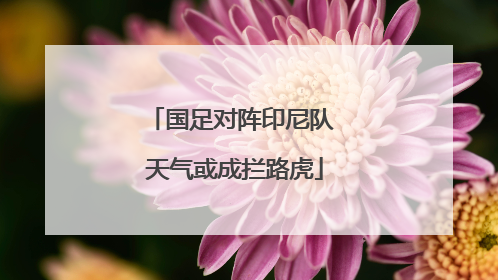 国足对阵印尼队 天气或成拦路虎