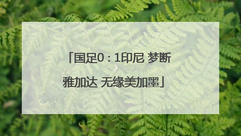 国足0∶1印尼 梦断雅加达 无缘美加墨
