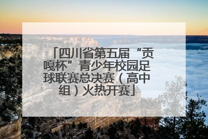 四川省第五届“贡嘎杯”青少年校园足球联赛总决赛（高中组）火热开赛