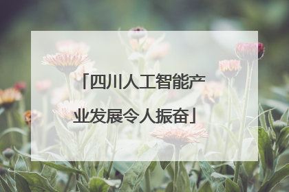 四川人工智能产业发展令人振奋