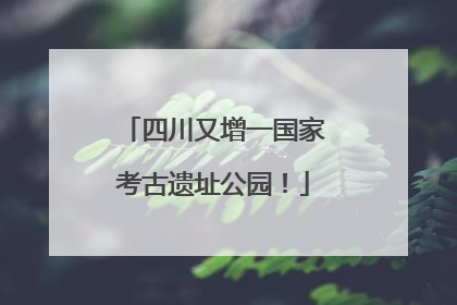 四川又增一国家考古遗址公园！