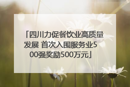 四川力促餐饮业高质量发展 首次入围服务业500强奖励500万元