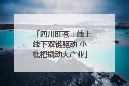 四川旺苍：线上线下双链驱动 小枇杷撬动大产业