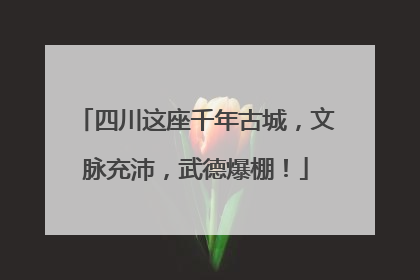 四川这座千年古城，文脉充沛，武德爆棚！
