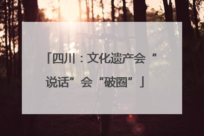 四川：文化遗产会“说话”会“破圈”