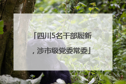 四川5名干部履新，涉市级党委常委