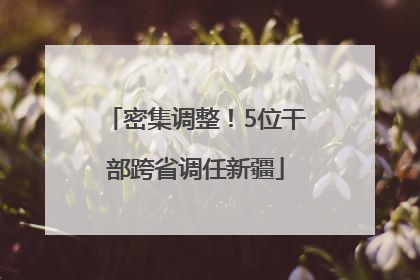 密集调整！5位干部跨省调任新疆