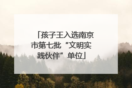 孩子王入选南京市第七批“文明实践伙伴”单位