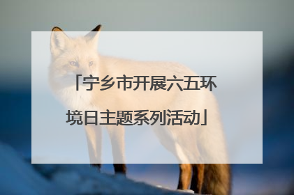 宁乡市开展六五环境日主题系列活动