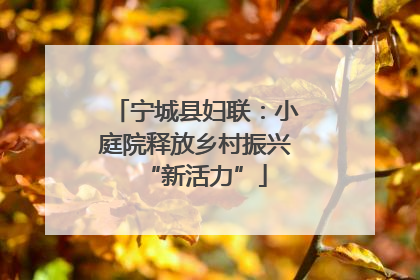 宁城县妇联：小庭院释放乡村振兴“新活力”