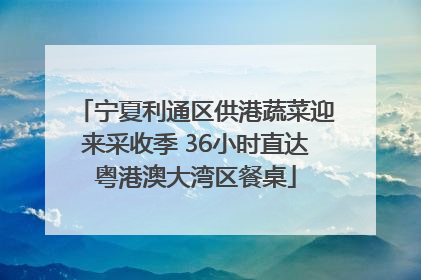 宁夏利通区供港蔬菜迎来采收季 36小时直达粤港澳大湾区餐桌