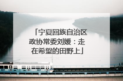 宁夏回族自治区政协常委刘媛：走在希望的田野上