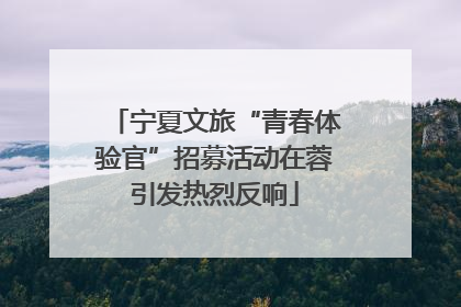 宁夏文旅“青春体验官”招募活动在蓉引发热烈反响