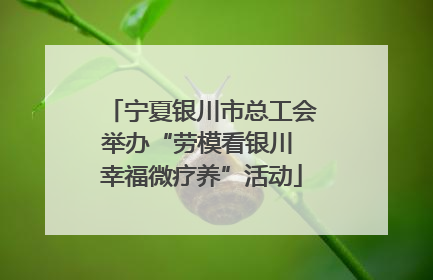宁夏银川市总工会举办“劳模看银川 幸福微疗养”活动