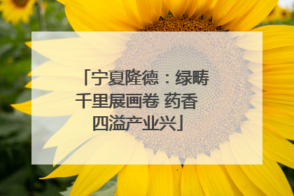 宁夏隆德：绿畴千里展画卷 药香四溢产业兴