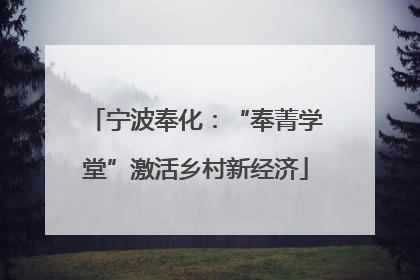 宁波奉化：“奉菁学堂”激活乡村新经济