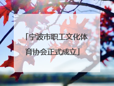 宁波市职工文化体育协会正式成立