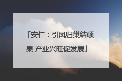 安仁：引凤归巢结硕果 产业兴旺促发展