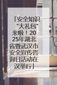 安全知识“大礼包”来啦！2025年湖北省暨武汉市安全宣传咨询日活动在汉举行