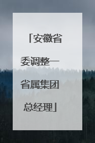 安徽省委调整一省属集团总经理