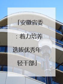 安徽省委：着力培养选拔优秀年轻干部