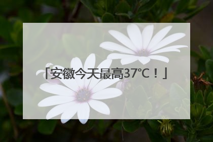 安徽今天最高37℃！