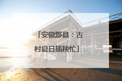 安徽黟县：古村夏日插秧忙