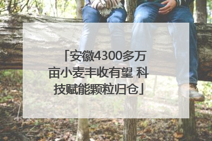 安徽4300多万亩小麦丰收有望 科技赋能颗粒归仓