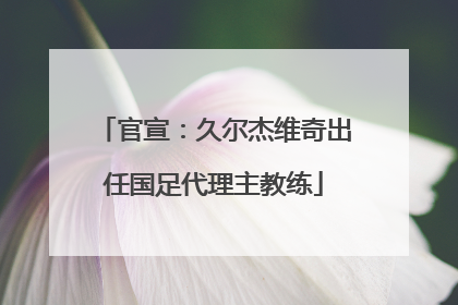 官宣：久尔杰维奇出任国足代理主教练