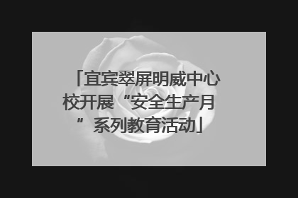 宜宾翠屏明威中心校开展“安全生产月”系列教育活动