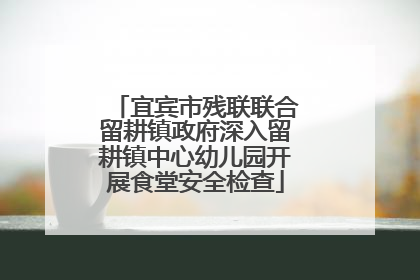 宜宾市残联联合留耕镇政府深入留耕镇中心幼儿园开展食堂安全检查