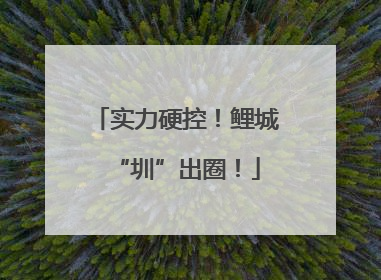 实力硬控！鲤城“圳”出圈！