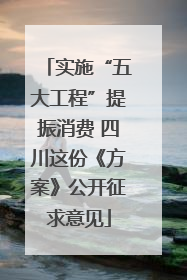 实施“五大工程”提振消费 四川这份《方案》公开征求意见