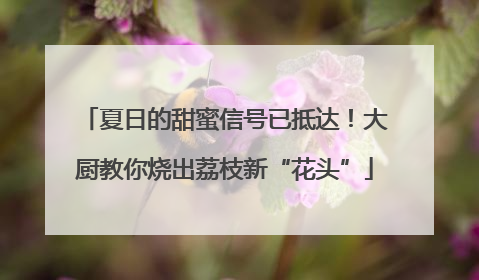 夏日的甜蜜信号已抵达！大厨教你烧出荔枝新“花头”